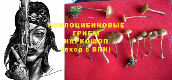 герыч Алексин