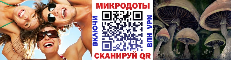 дарнет шоп  ссылка на мегу ССЫЛКА  Псилоцибиновые грибы ЛСД  Ижевск 